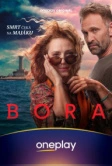 Ураган (2025)